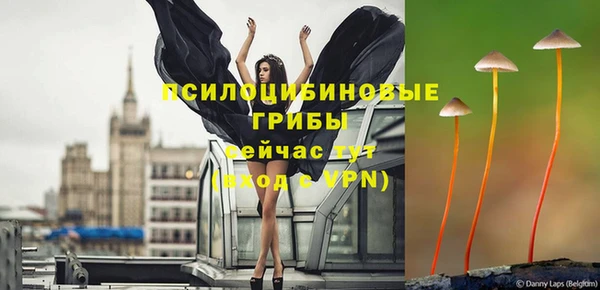 амф Магадан