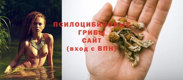 PSILOCYBIN Гусиноозёрск