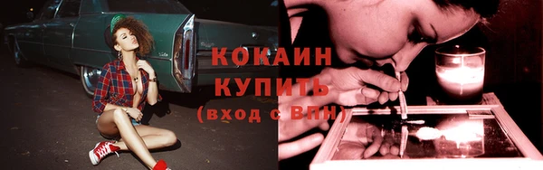 стаф Магас