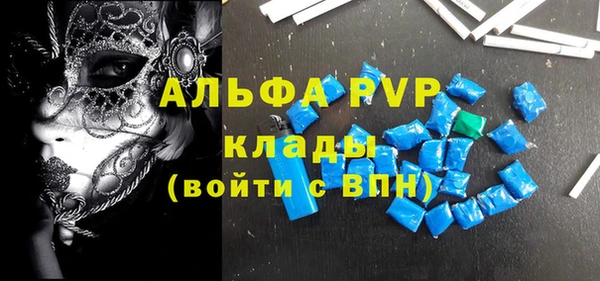 стаф Магас