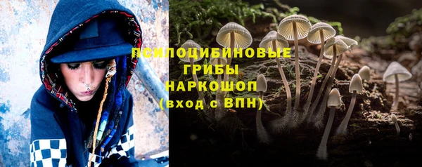 PSILOCYBIN Гусиноозёрск