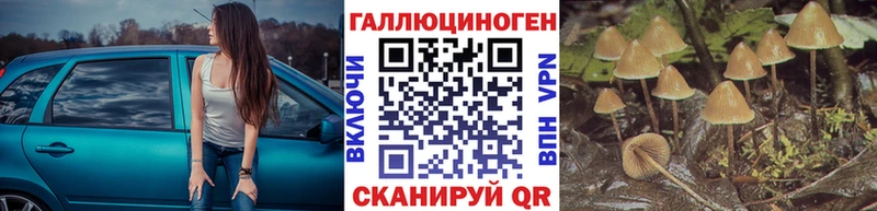 Псилоцибиновые грибы Psilocybine cubensis магазин продажи Невельск